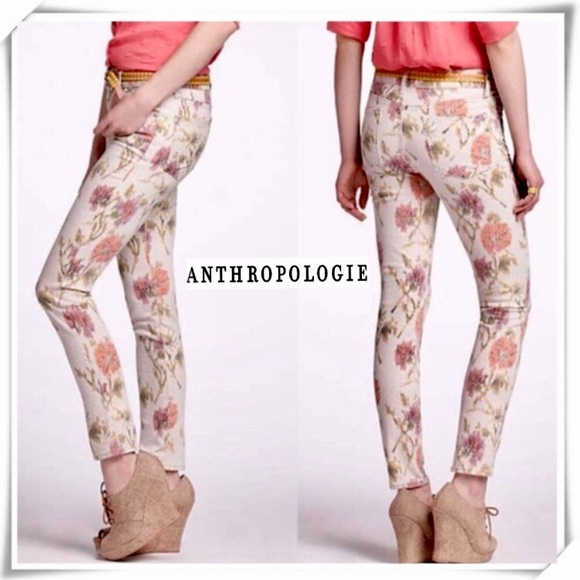 Anthropologie Denim - Anthropologie Pilcro  Floral Ikat Stet Slim Jeans